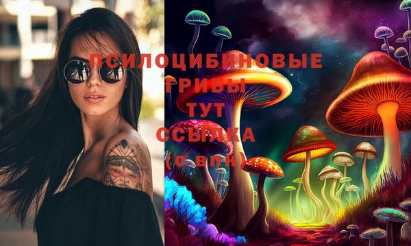 экстази Богородицк