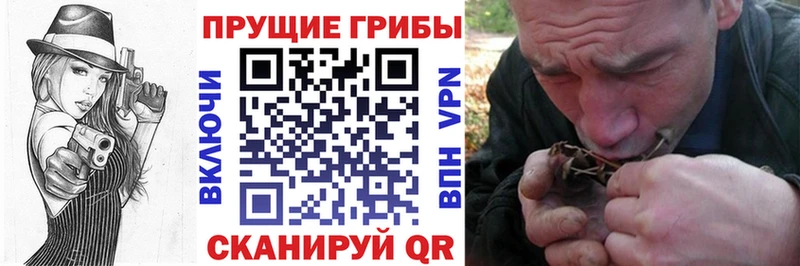 Купить  Абинск  Галлюциногенные грибы мицелий 